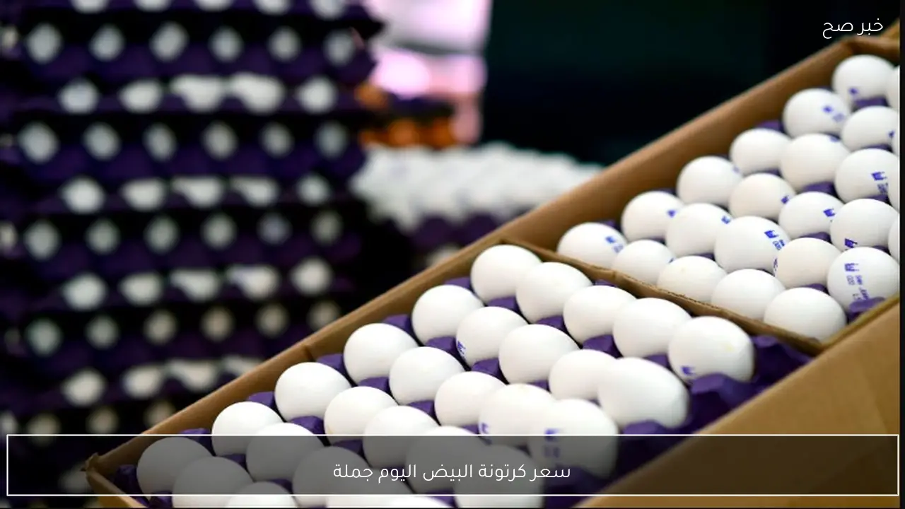 سعر كرتونة البيض اليوم جملة تهم التجار قبل البيع للمستهلك