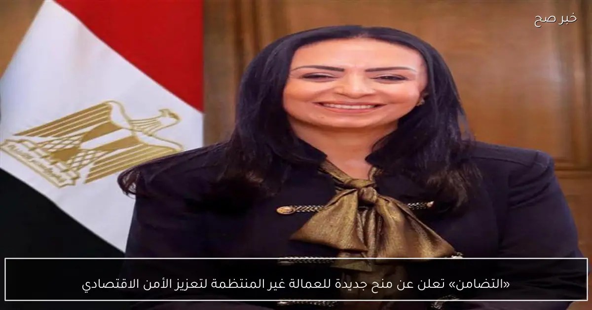 «التضامن» تعلن عن منح جديدة للعمالة غير المنتظمة لتعزيز الأمن الاقتصادي