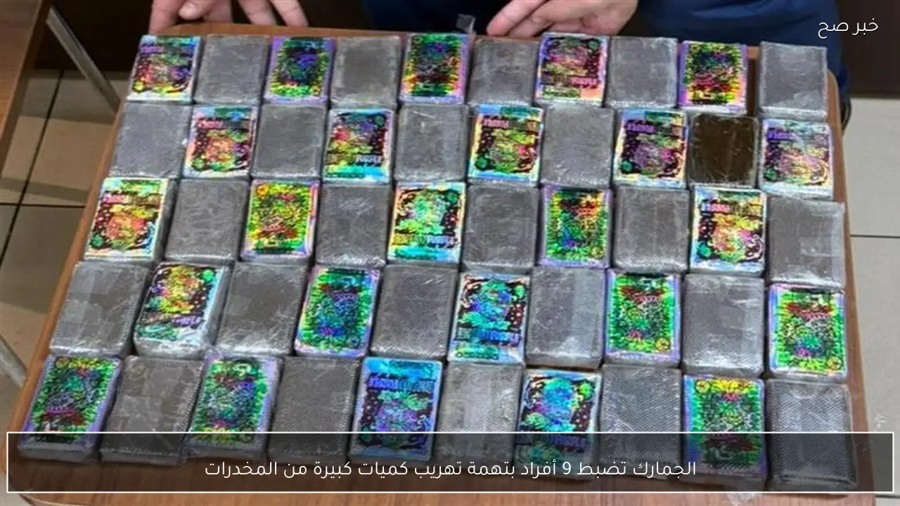 الجمارك تضبط 9 أفراد بتهمة تهريب كميات كبيرة من المخدرات