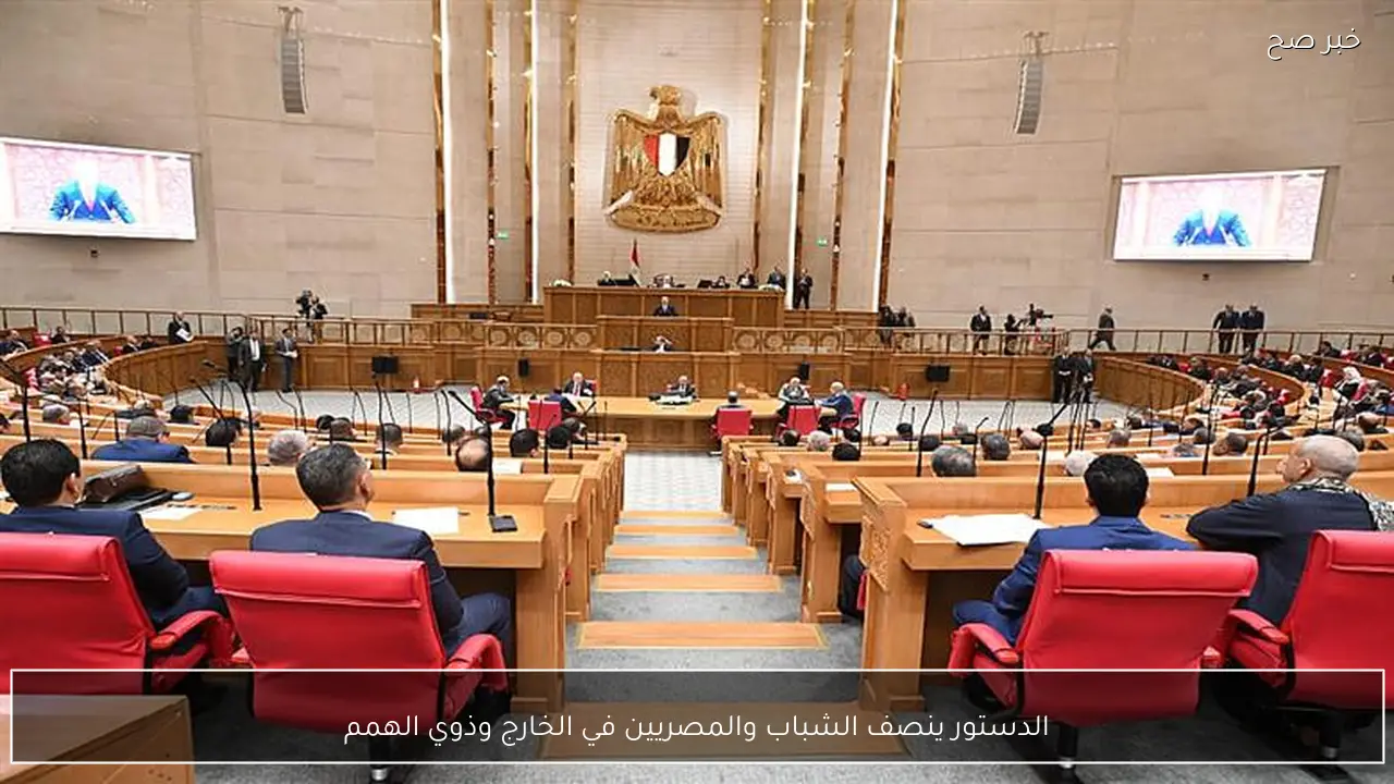 الدستور ينصف الشباب والمصريين في الخارج وذوي الهمم