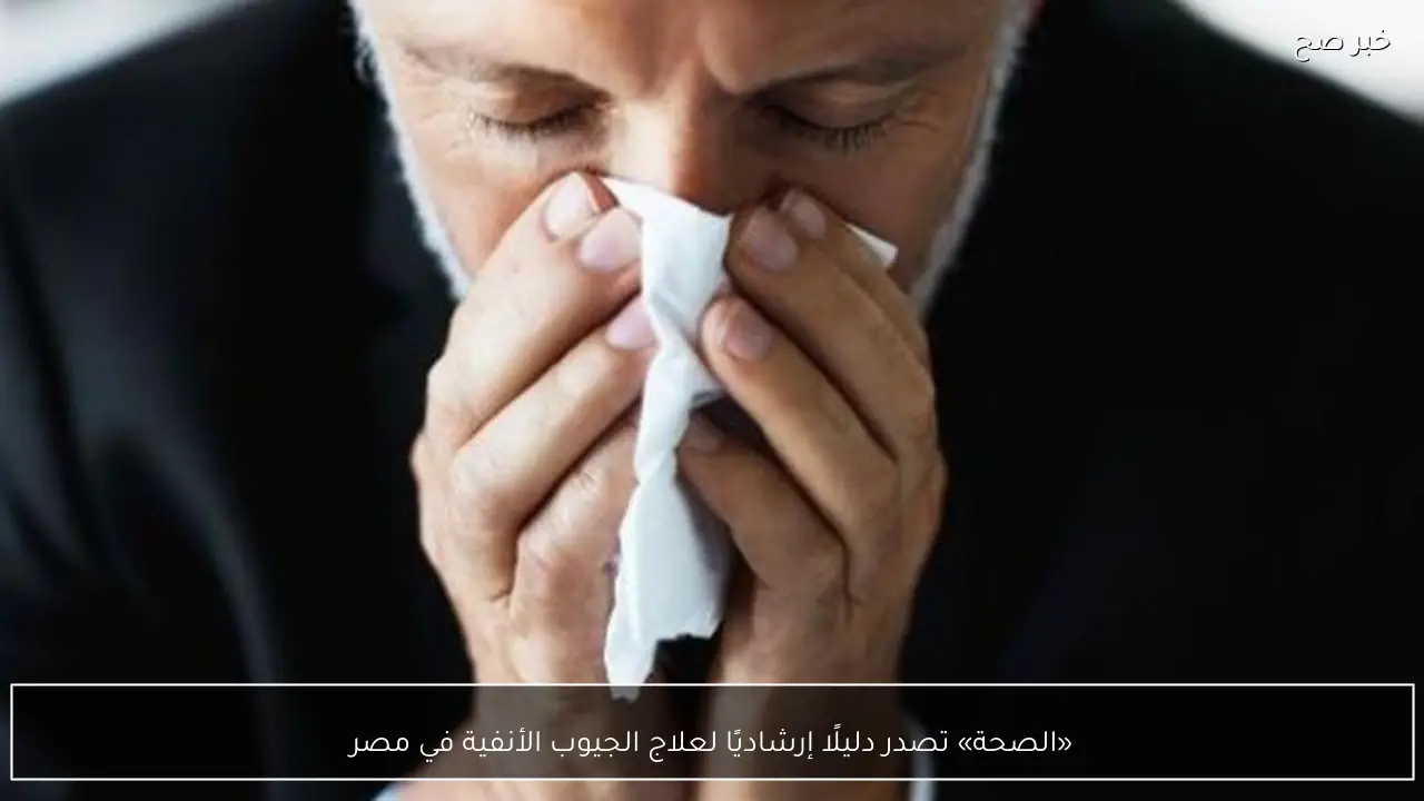 «الصحة» تصدر دليلًا إرشاديًا لعلاج الجيوب الأنفية في مصر