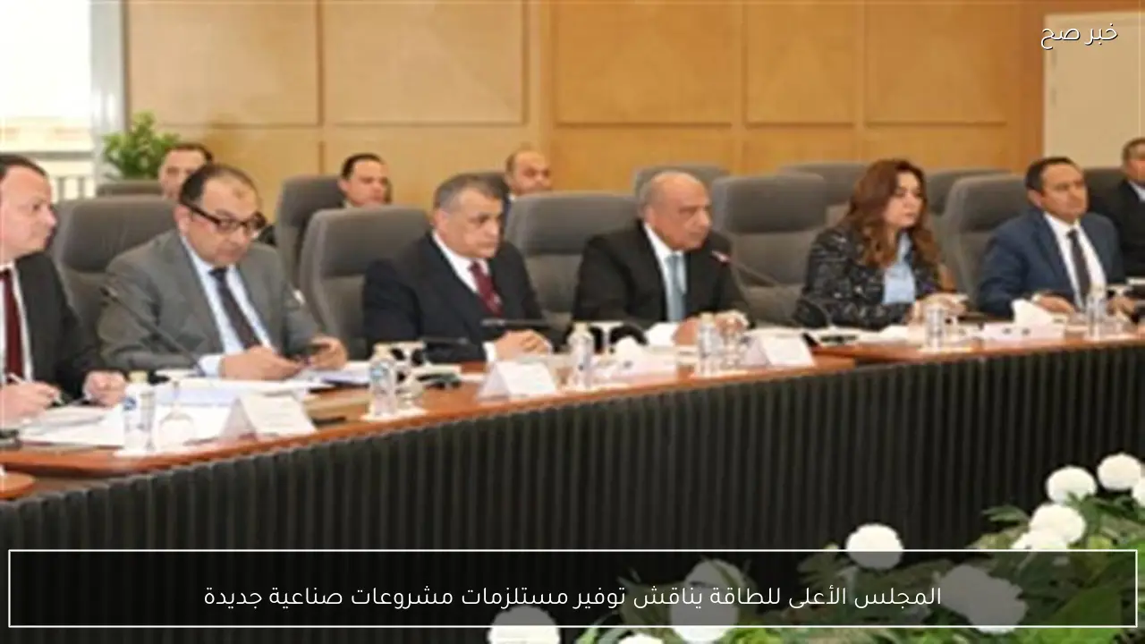 المجلس الأعلى للطاقة يناقش توفير مستلزمات مشروعات صناعية جديدة