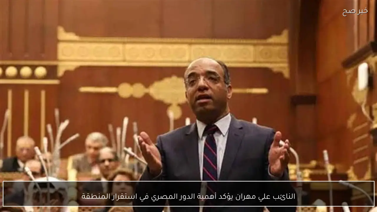النائب علي مهران يؤكد أهمية الدور المصري في استقرار المنطقة