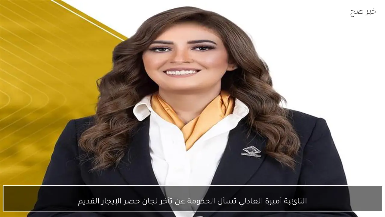 النائبة أميرة العادلي تسأل الحكومة عن تأخر لجان حصر الإيجار القديم