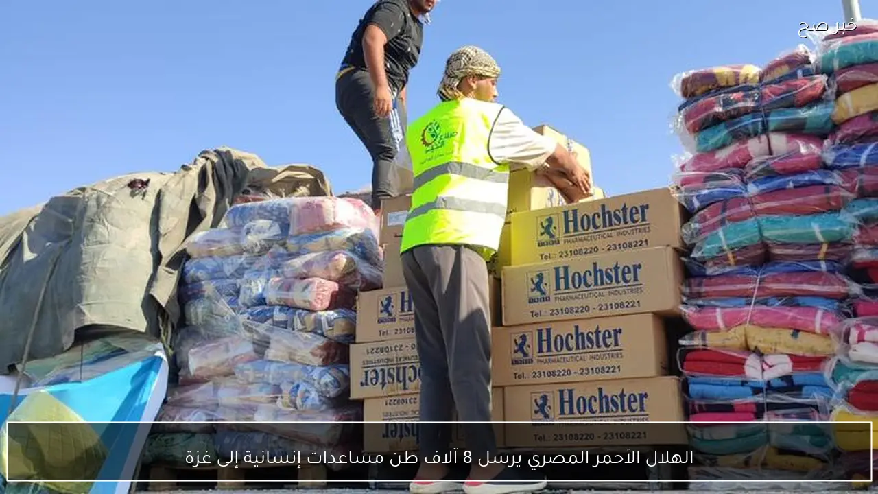 الهلال الأحمر المصري يرسل 8 آلاف طن مساعدات إنسانية إلى غزة