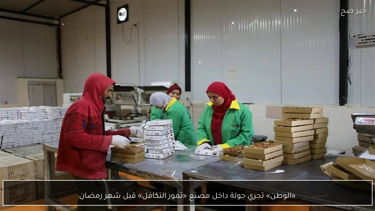 «الوطن» تجري جولة داخل مصنع «تمور التكافل» قبل شهر رمضان