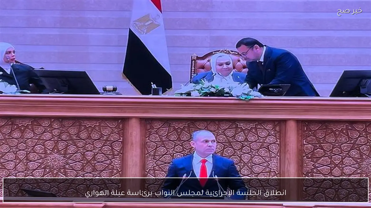 انطلاق الجلسة الإجرائية لمجلس النواب برئاسة عبلة الهواري