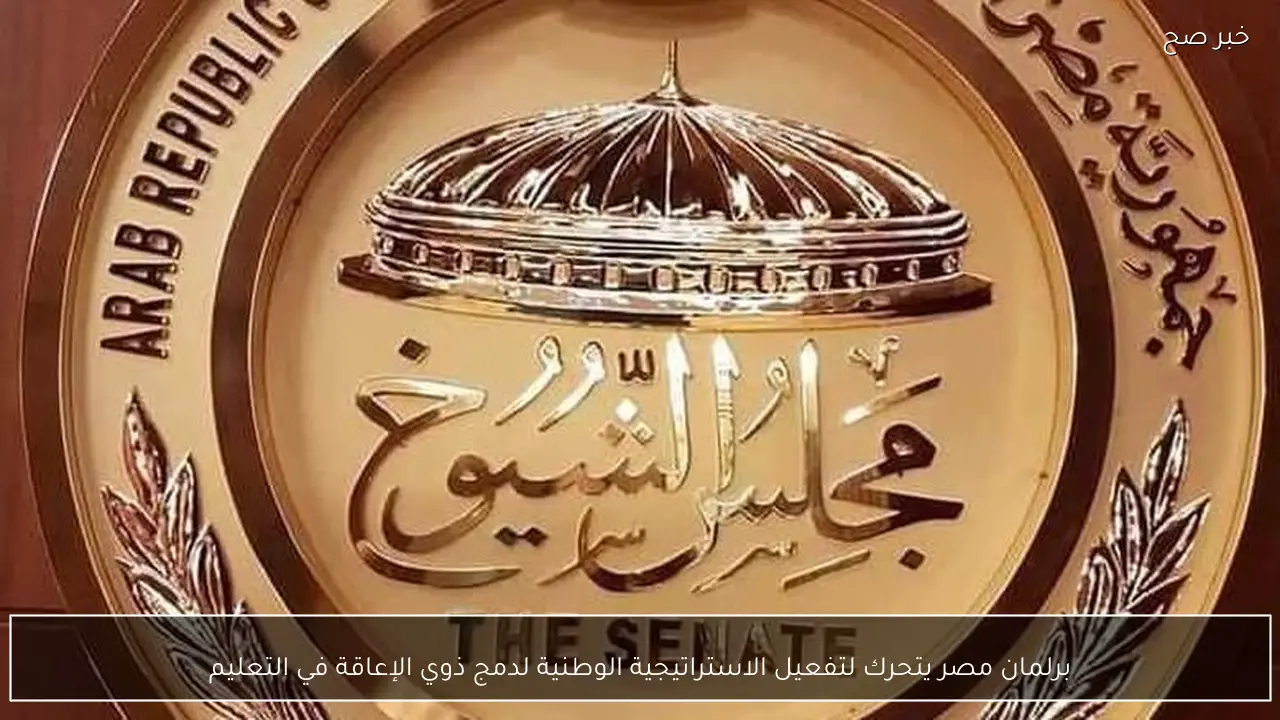 برلمان مصر يتحرك لتفعيل الاستراتيجية الوطنية لدمج ذوي الإعاقة في التعليم