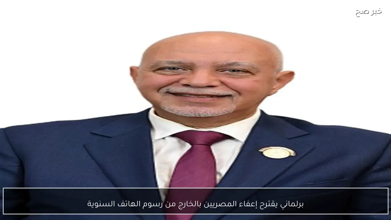 برلماني يقترح إعفاء المصريين بالخارج من رسوم الهاتف السنوية