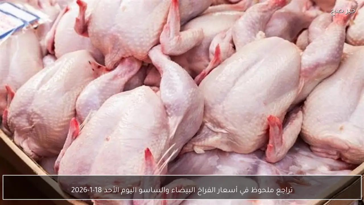 تراجع ملحوظ في أسعار الفراخ البيضاء والساسو اليوم الأحد 18-1-2026