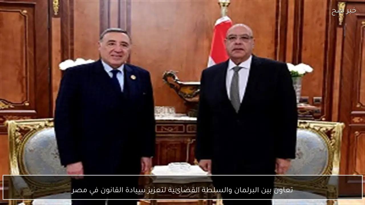 تعاون بين البرلمان والسلطة القضائية لتعزيز سيادة القانون في مصر