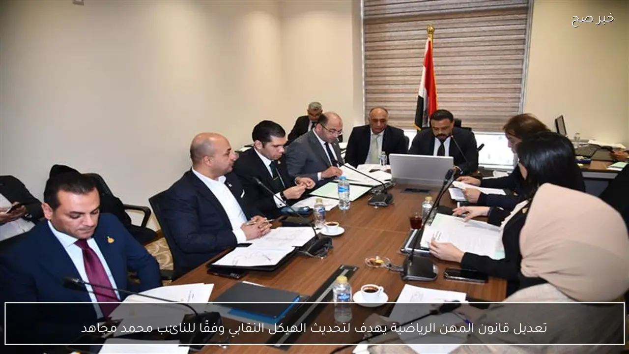 تعديل قانون المهن الرياضية يهدف لتحديث الهيكل النقابي وفقًا للنائب محمد مجاهد