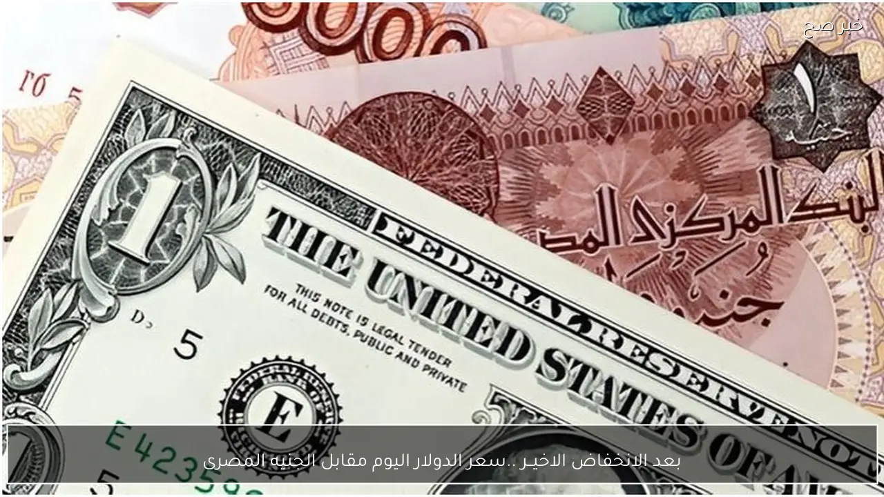 بعد الانخفاض الاخيــر .. سعر الدولار اليوم مقابل الجنيه المصرى بالبنوك والاسواق الموازية