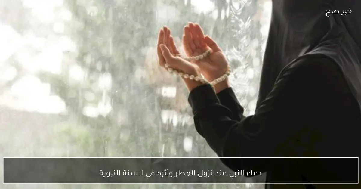 دعاء النبي عند نزول المطر وأثره في السنة النبوية