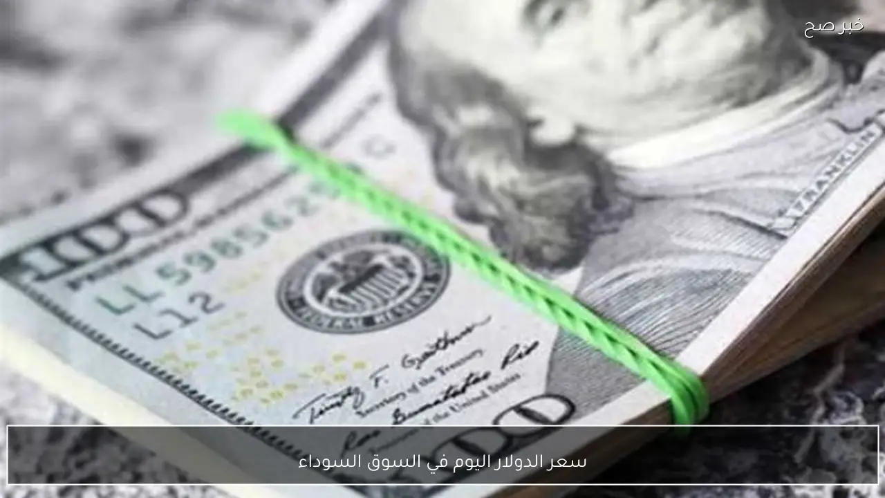 تحت المجهر سعر الدولار اليوم في السوق السوداء المصرية