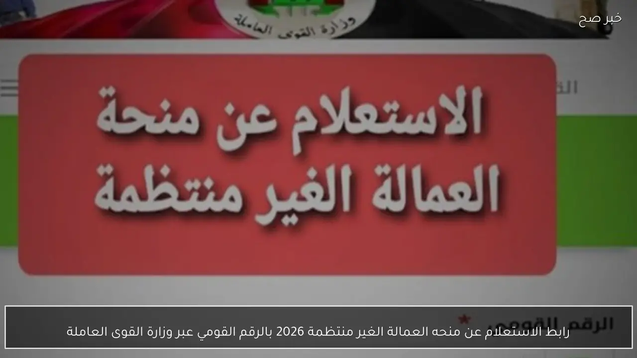 رابط الاستعلام عن منحه العمالة الغير منتظمة 2026 بالرقم القومي عبر وزارة القوى العاملة