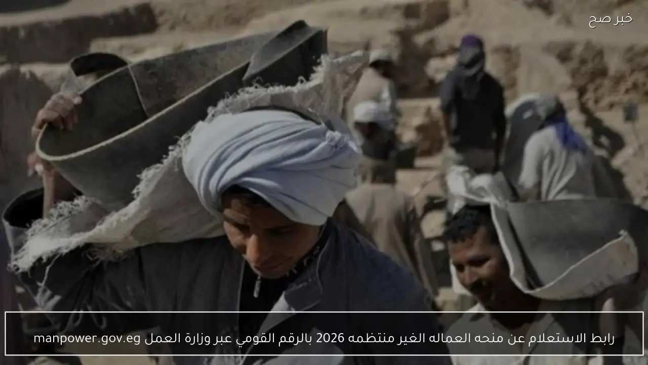 رابط الاستعلام عن منحه العماله الغير منتظمه 2026 بالرقم القومي عبر وزارة العمل manpower.gov.eg