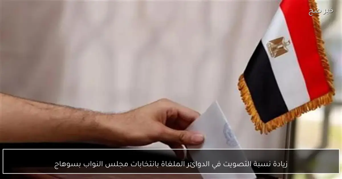 زيادة نسبة التصويت في الدوائر الملغاة بانتخابات مجلس النواب بسوهاج