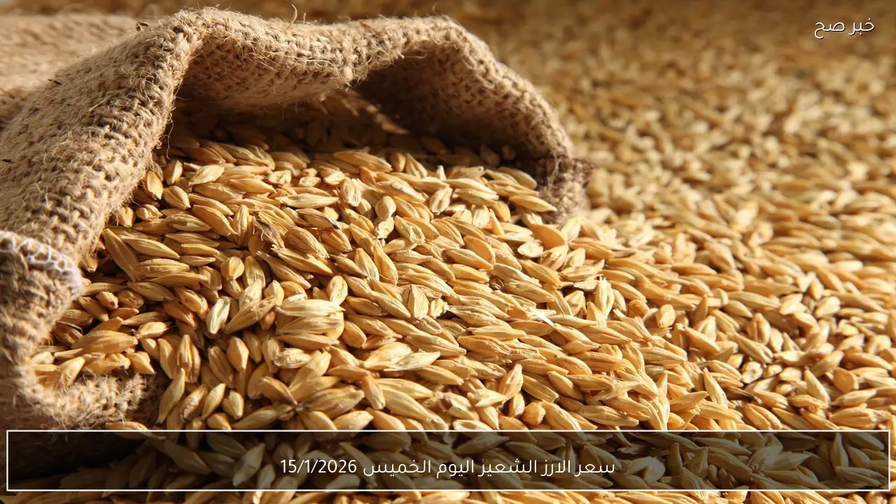 “وصل كام؟؟”.. سعر الارز الشعير اليوم الخميس 15/1/2026 وسعر كيلو الارز الابيض في الاسواق المصرية