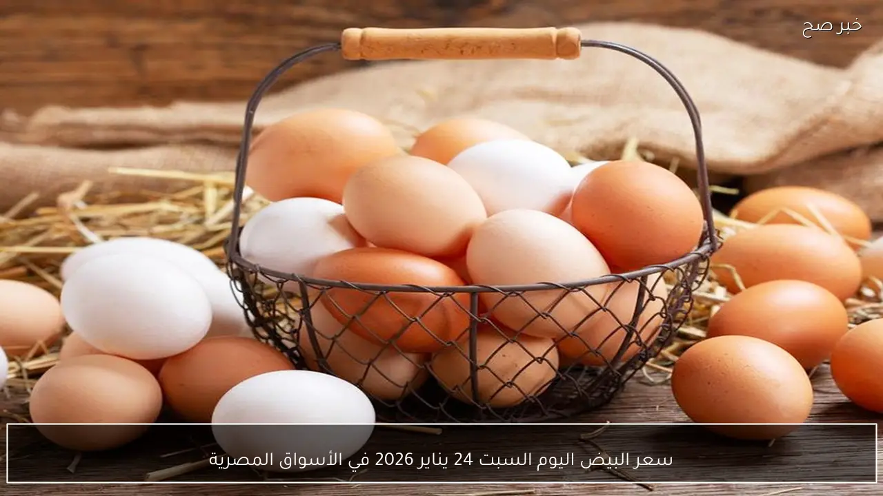 سعر البيض اليوم السبت 24 يناير 2026 في الأسواق المصرية