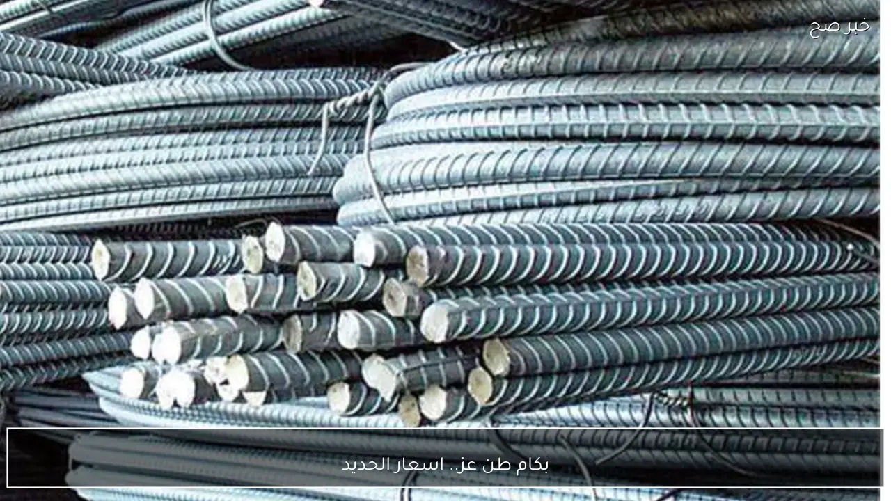 بكام طن عز.. اسعار الحديد اليوم الخميس 22/1/2026 في الاسواق المصرية وتوقعات التسعير الجديد