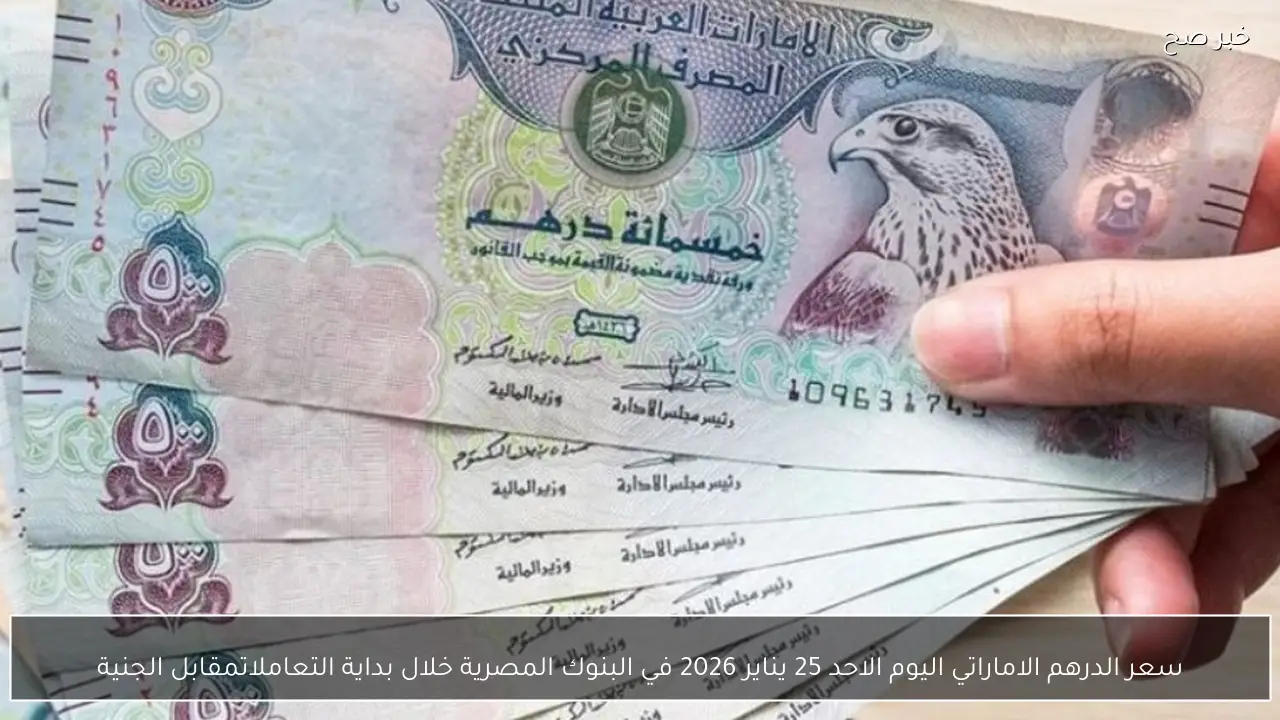 سعر الدرهم الاماراتي اليوم الاحد 25 يناير 2026 في البنوك المصرية مقابل الجنيه