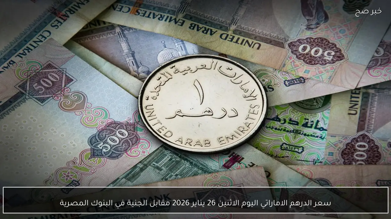 سعر الدرهم الاماراتي اليوم الاثنين 26 يناير 2026 مقابل الجنية في البنوك المصرية