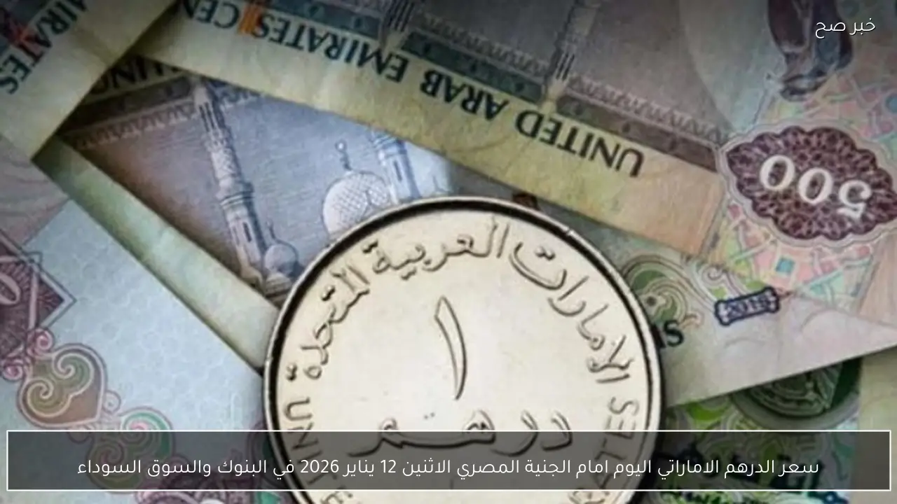 سعر الدرهم الاماراتي اليوم امام الجنية المصري الاثنين 12 يناير 2026 في البنوك والسوق السوداء