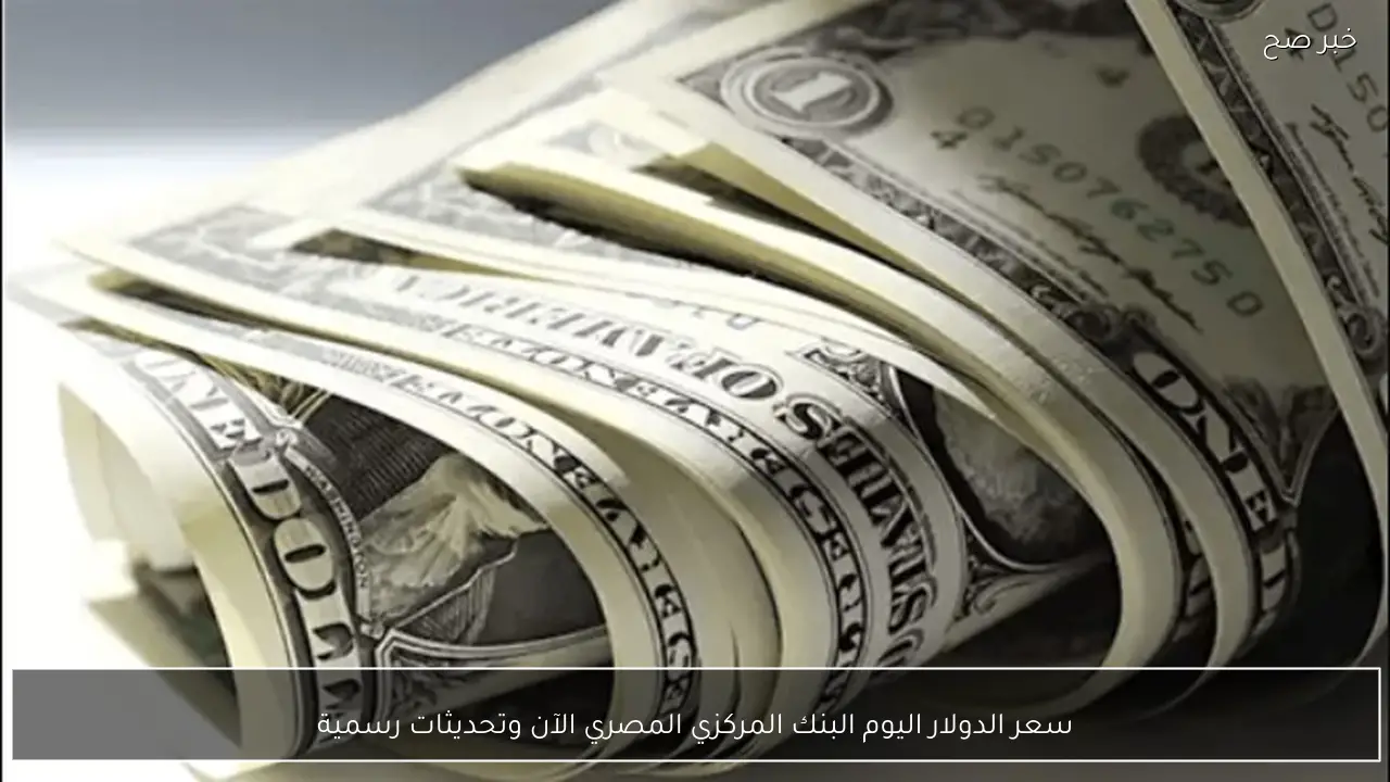 سعر الدولار اليوم الاربعاء في البنك المركزي المصري تحديثات رسمية