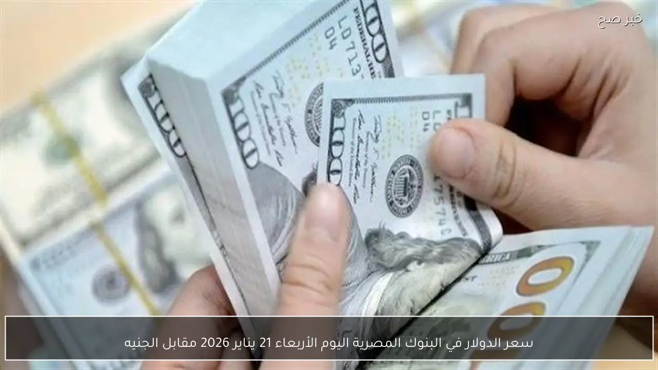 سعر الدولار في البنوك المصرية اليوم الأربعاء 21 يناير 2026 مقابل الجنيه