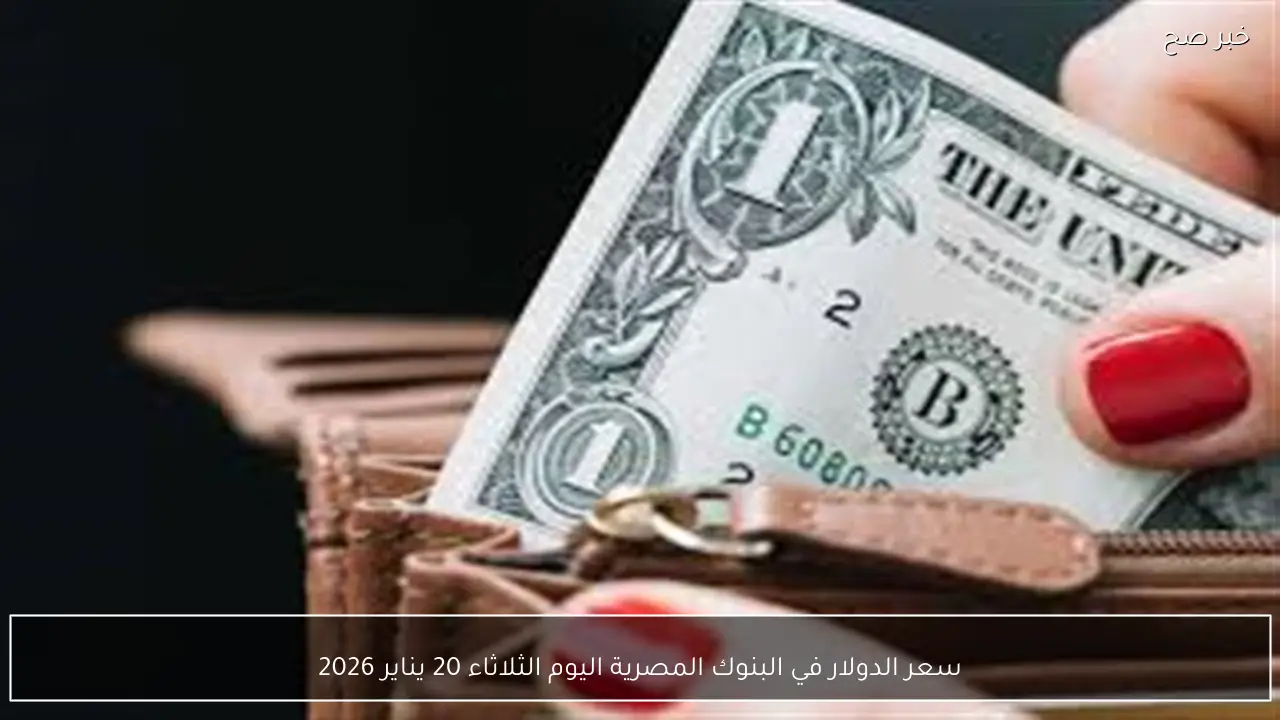 سعر الدولار في البنوك المصرية اليوم الثلاثاء 20 يناير 2026