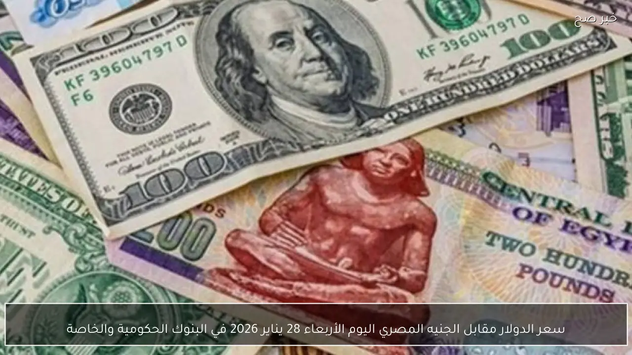 سعر الدولار مقابل الجنيه المصري اليوم الأربعاء 28 يناير 2026 في البنوك الحكومية والخاصة