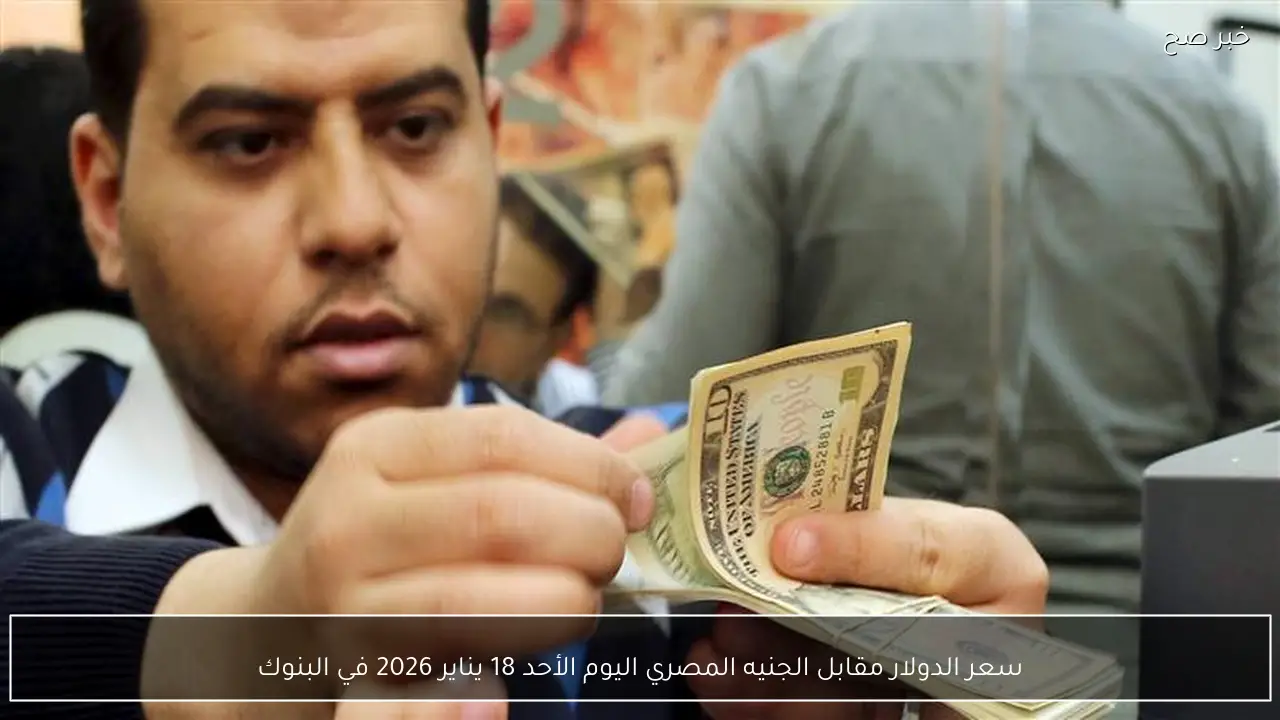 سعر الدولار مقابل الجنيه المصري اليوم الأحد 18 يناير 2026 في البنوك