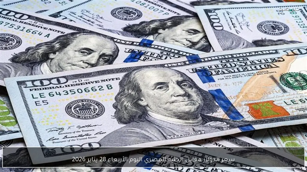 سعر الدولار مقابل الجنيه المصري اليوم الأربعاء 28 يناير 2026