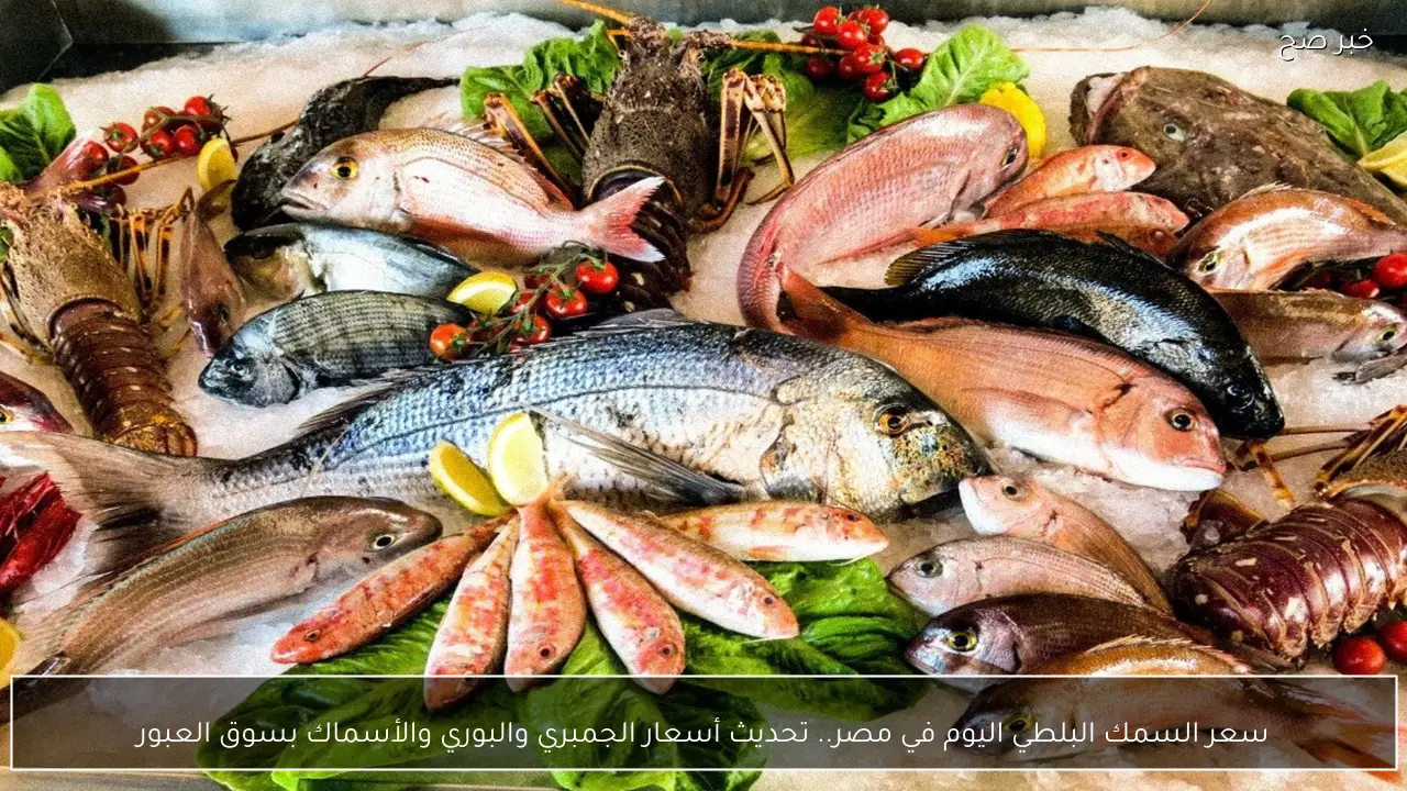 سعر السمك البلطي اليوم في مصر.. تحديث أسعار الجمبري والبوري والأسماك بسوق العبور