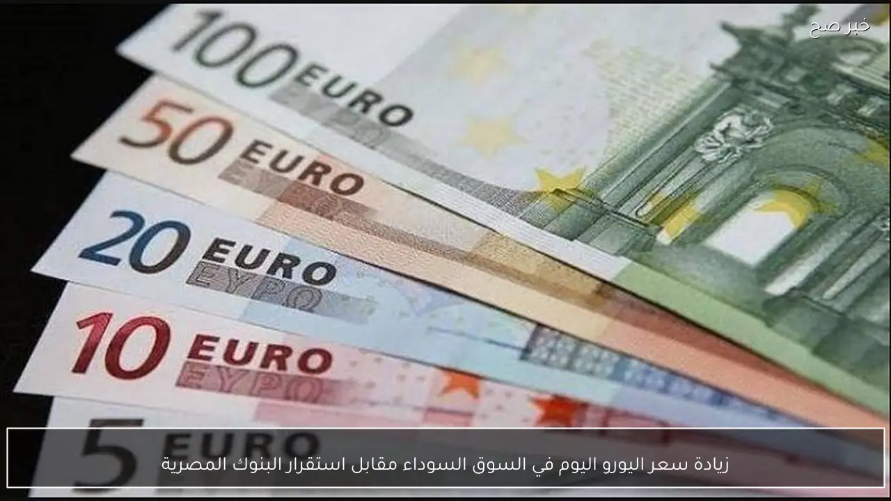 زيادة سعر اليورو اليوم في السوق السوداء مقابل استقرار البنوك المصرية