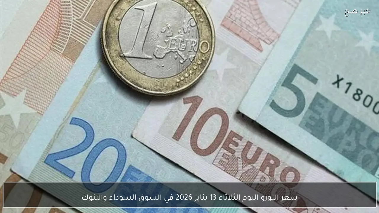 سعر اليورو اليوم الثلاثاء 13 يناير 2026 في السوق السوداء والبنوك