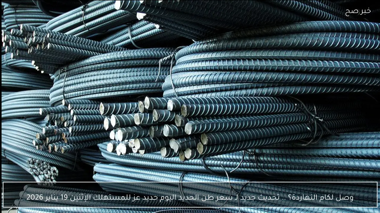 وصل لكام النهاردة؟ .. تحديث جديد لـ سعر طن الحديد اليوم حديد عز للمستهلك الإثنين 19 يناير 2026