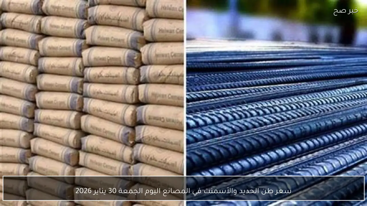 سعر طن الحديد والأسمنت في المصانع اليوم الجمعة 30 يناير 2026
