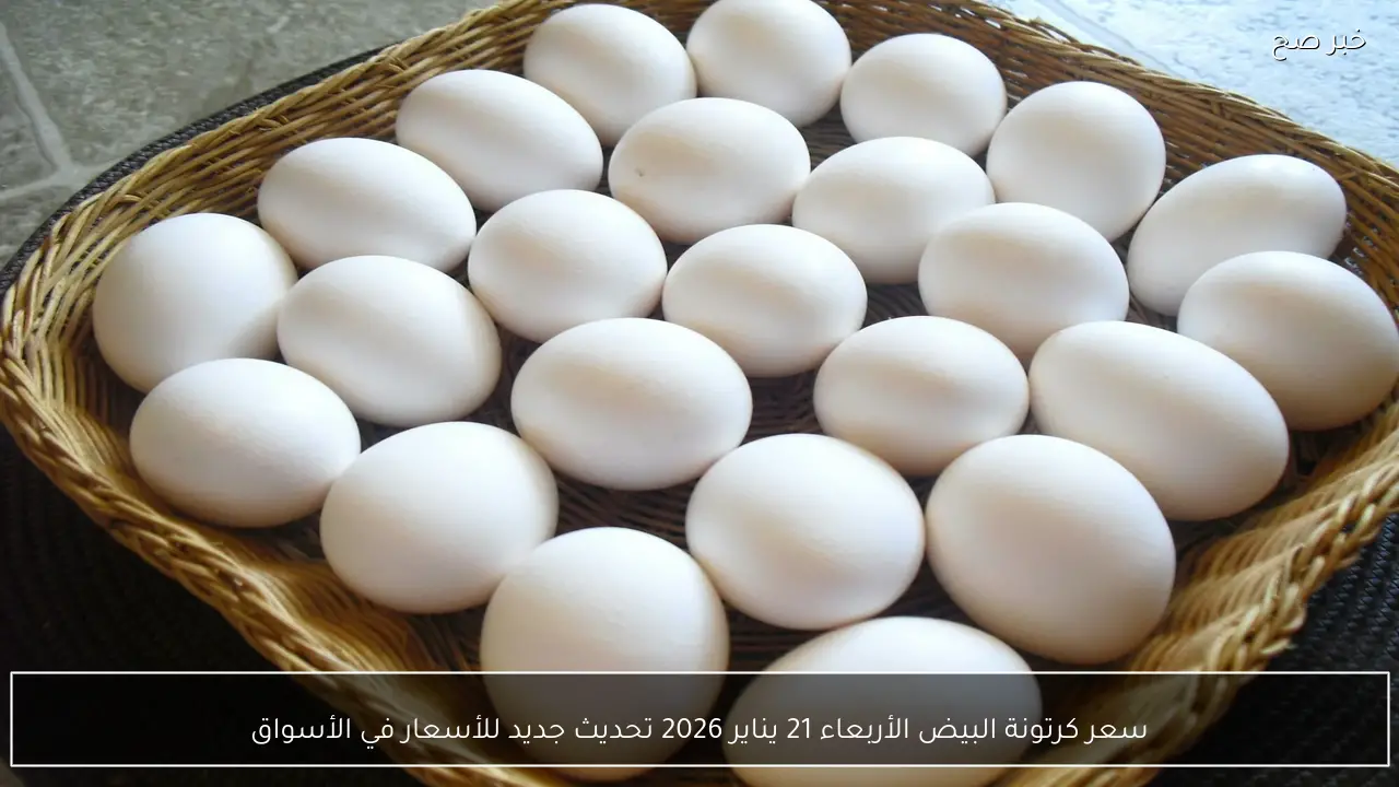 سعر كرتونة البيض اليوم الأربعاء 21 يناير 2026 تحديث جديد للأسعار في الأسواق