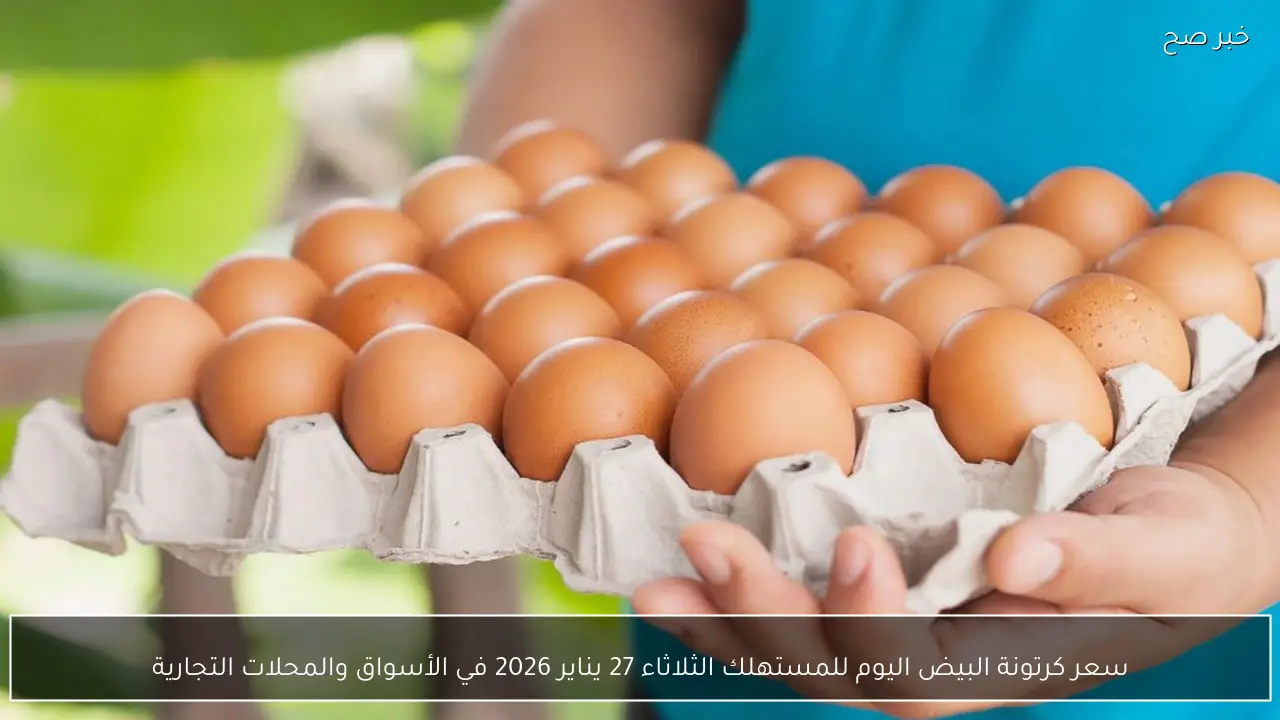 سعر كرتونة البيض اليوم للمستهلك الثلاثاء 27 يناير 2026 في الأسواق والمحلات التجارية