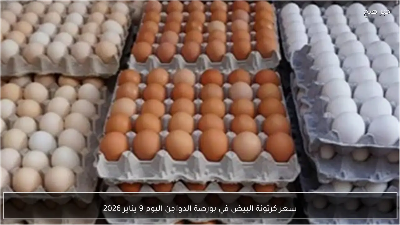 سعر كرتونة البيض في بورصة الدواجن اليوم 9 يناير 2026