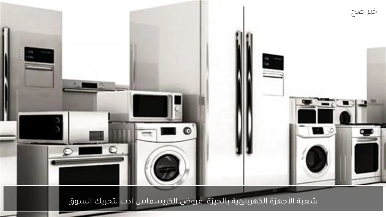 شعبة الأجهزة الكهربائية بالجيزة: عروض الكريسماس أدت لتحريك السوق