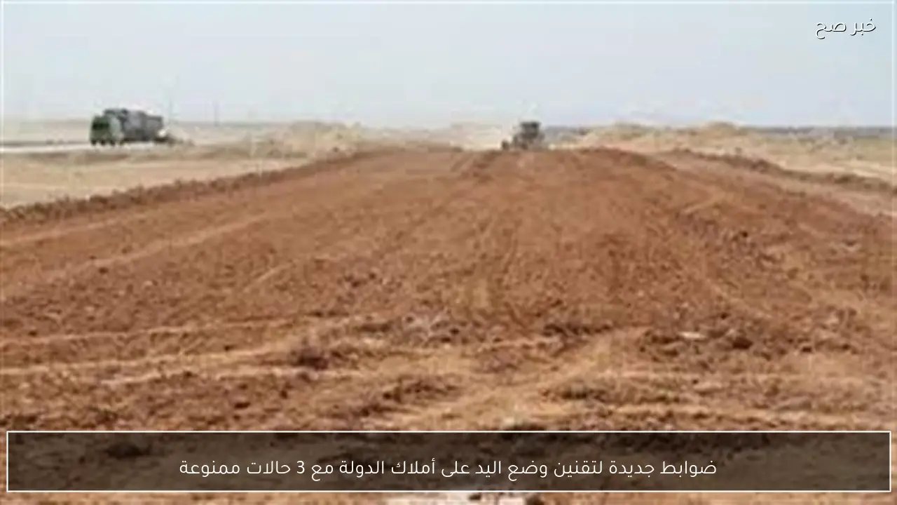 ضوابط جديدة لتقنين وضع اليد على أملاك الدولة مع 3 حالات ممنوعة