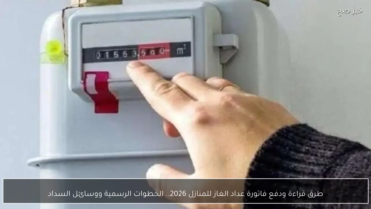 طرق قراءة ودفع فاتورة عداد الغاز للمنازل 2026.. الخطوات الرسمية ووسائل السداد