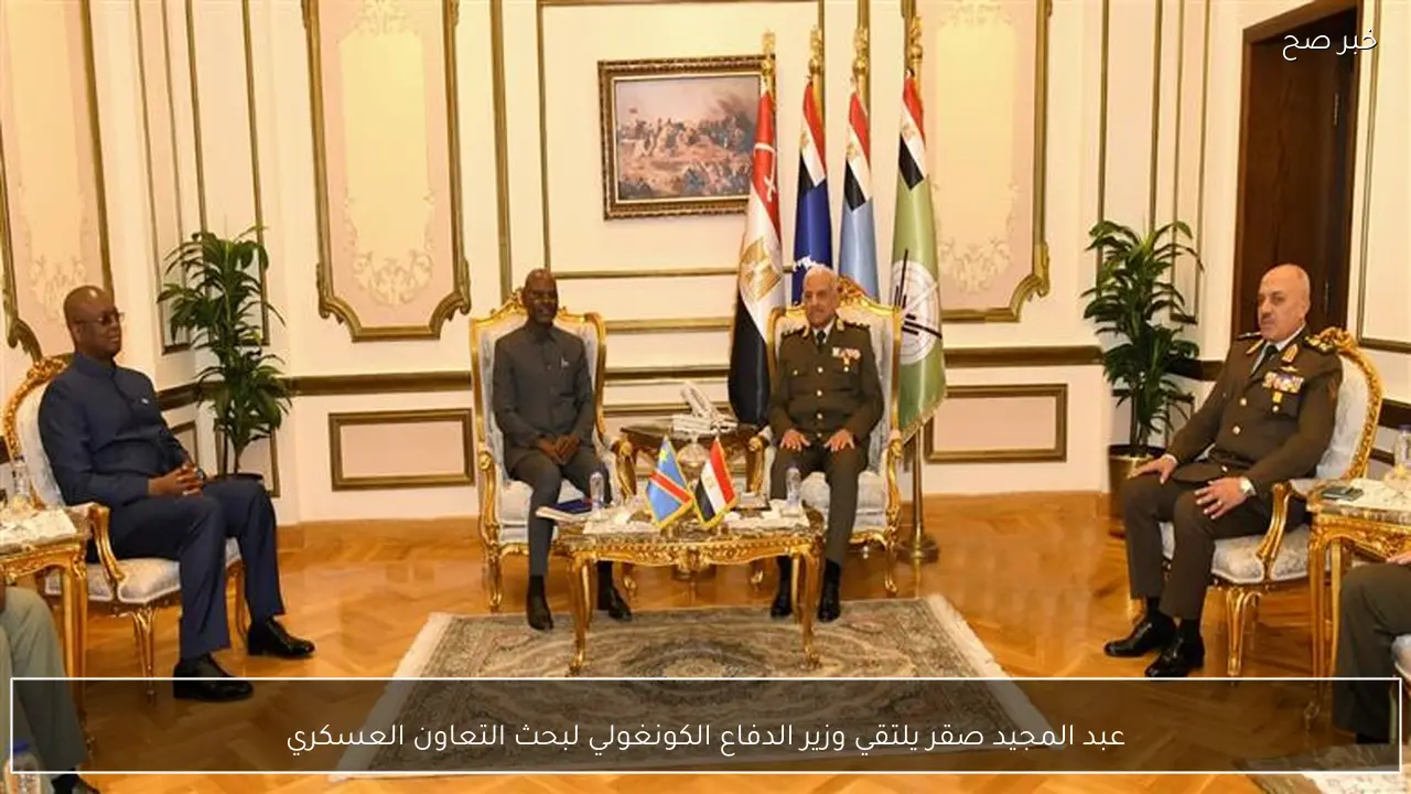 عبد المجيد صقر يلتقي وزير الدفاع الكونغولي لبحث التعاون العسكري