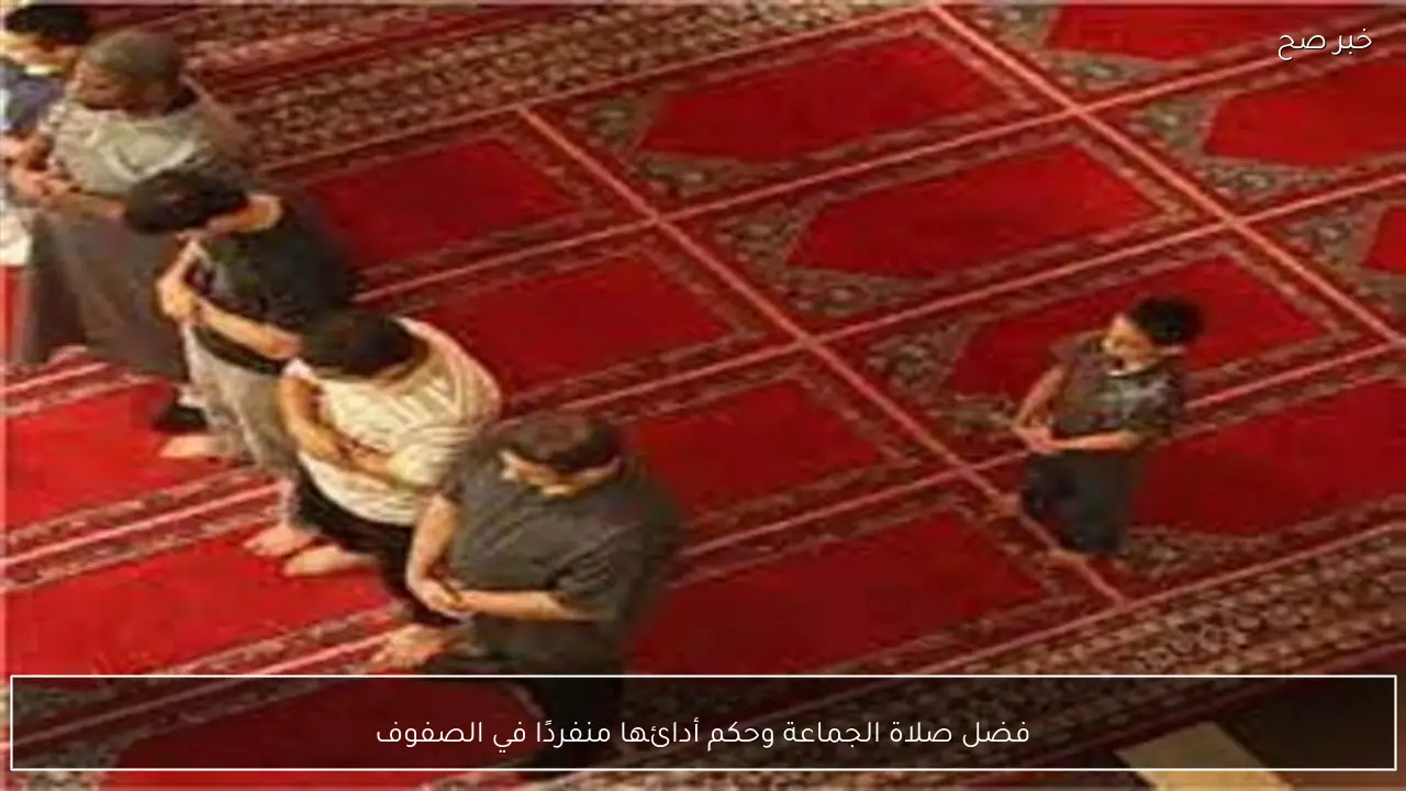 فضل صلاة الجماعة وحكم أدائها منفردًا في الصفوف