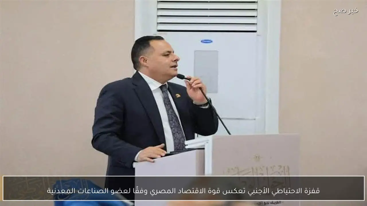 قفزة الاحتياطي الأجنبي تعكس قوة الاقتصاد المصري وفقًا لعضو الصناعات المعدنية