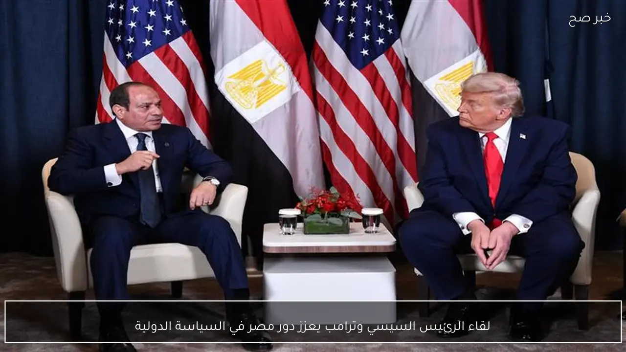 لقاء الرئيس السيسي وترامب يعزز دور مصر في السياسة الدولية