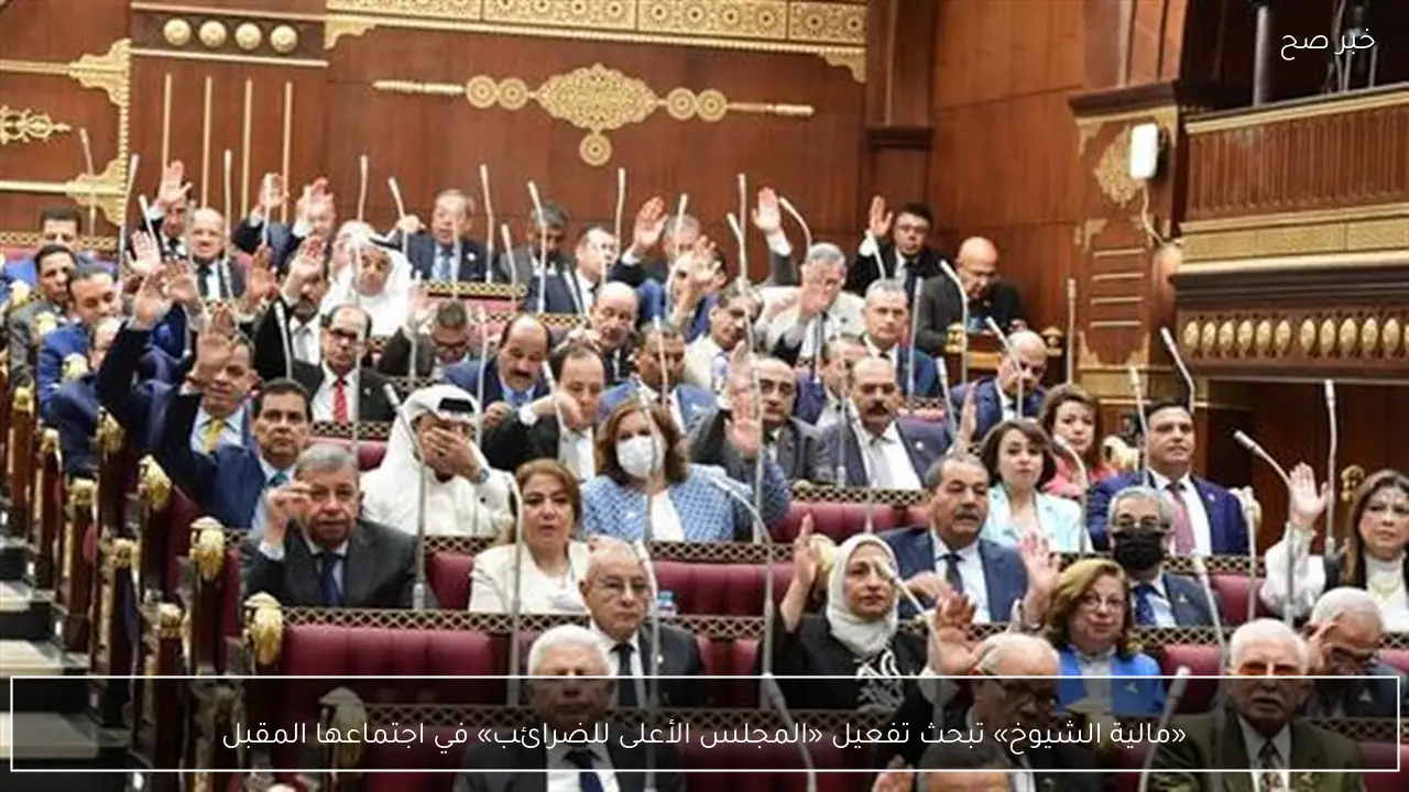 «مالية الشيوخ» تبحث تفعيل «المجلس الأعلى للضرائب» في اجتماعها المقبل